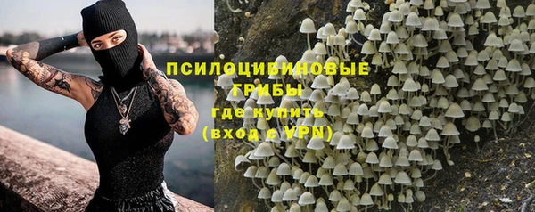 марки lsd Грязовец