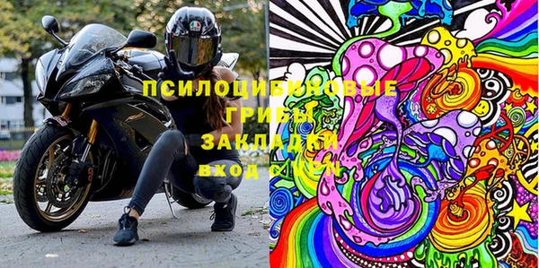гидра Абаза