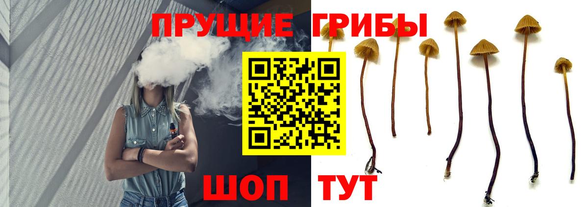 Псилоцибиновые грибы Cubensis  Вход с VPN  сколько стоит  Касимов 