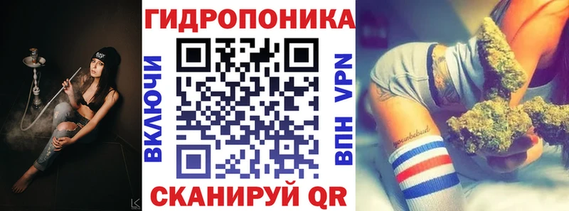 купить наркоту  kraken зеркало  Марихуана сатива  Касимов 